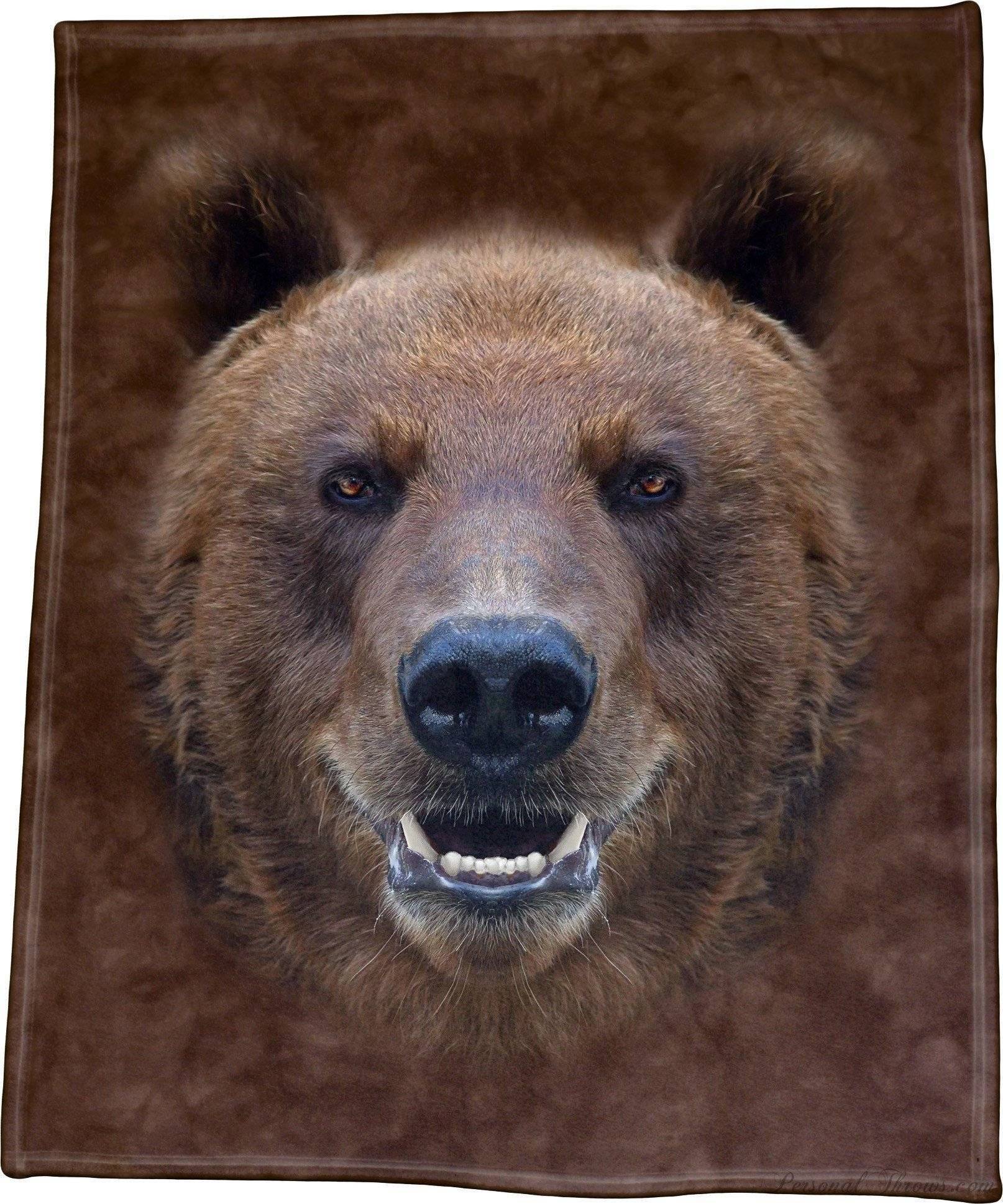 Grizzly bear fur discount blanket