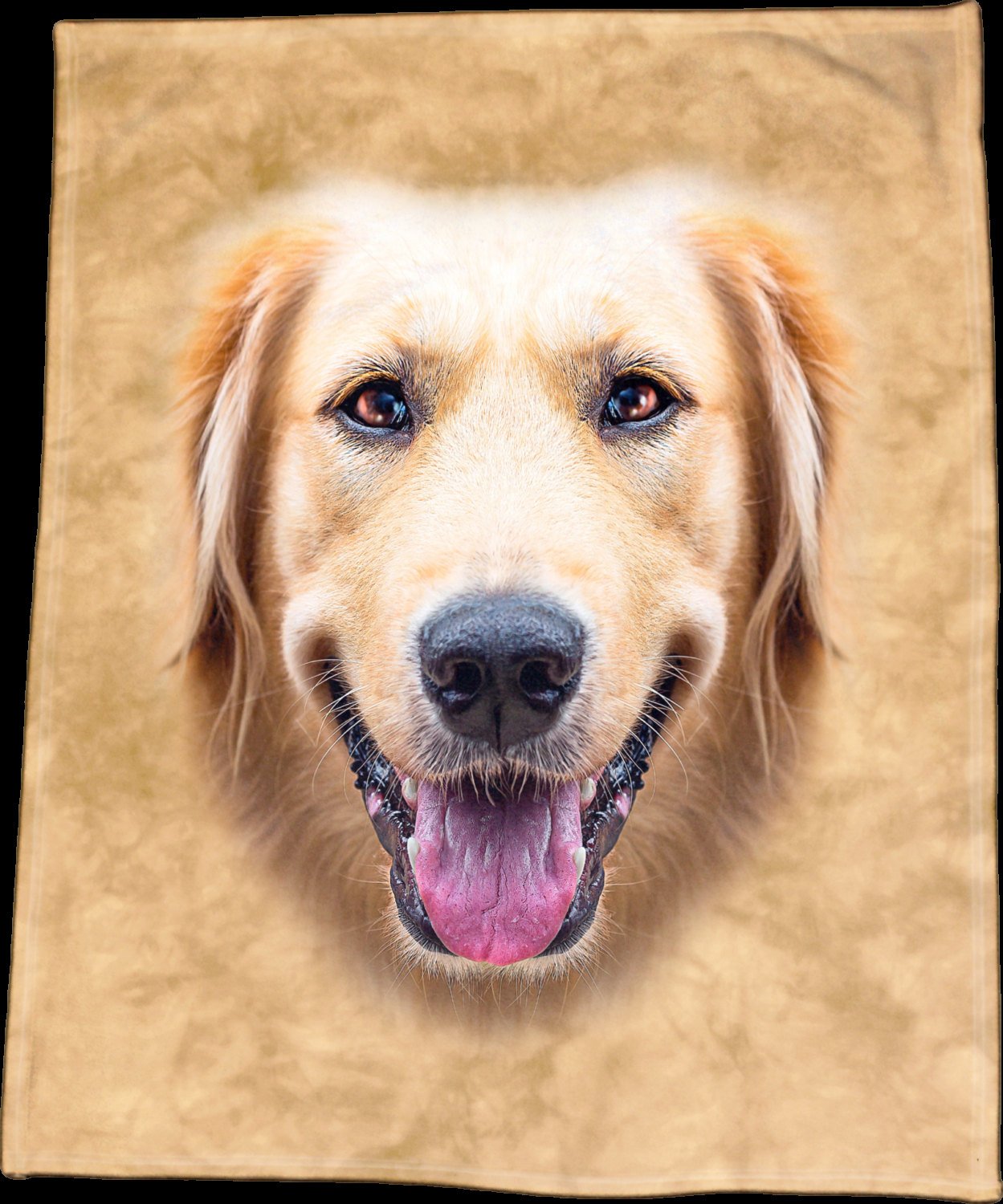 Golden retriever 2025 throw blanket