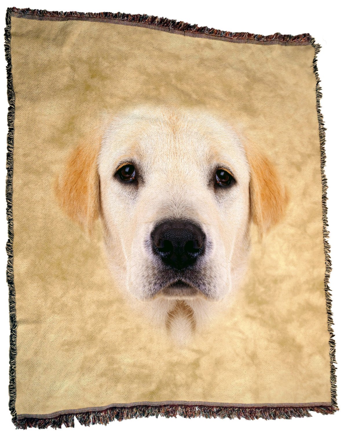 Labrador throw blanket hot sale